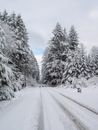A Road during Winter
