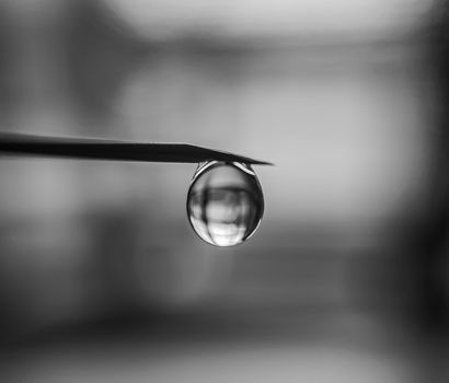 A monochrome macro shot of a water droplet delicately hanging from a blade in sharp focus.. pexels, monochrome, macro