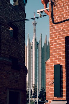 Saint Catherines Island