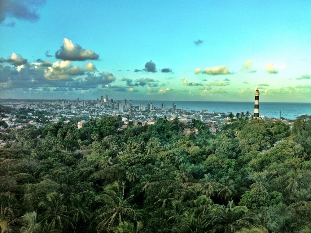 Безкоштовне стокове фото на тему «Бразилія, будівлі, джунглі» стокове фото