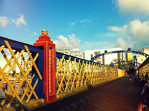 Free stock photo of brazil, bridge, recife