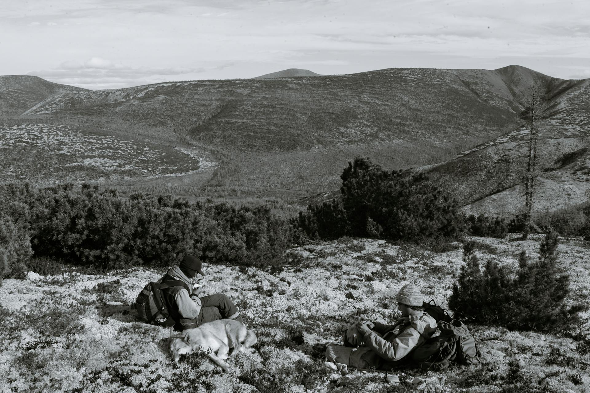 Black and white of full body anonymous male travelers with dog and backpacks resting on ground in highlands