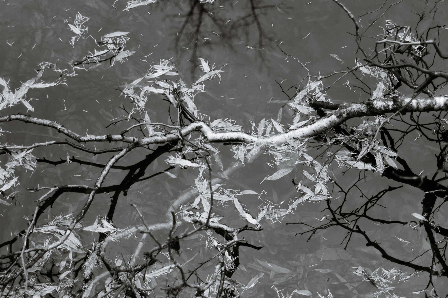 Mastering Reflections in Travel Photos