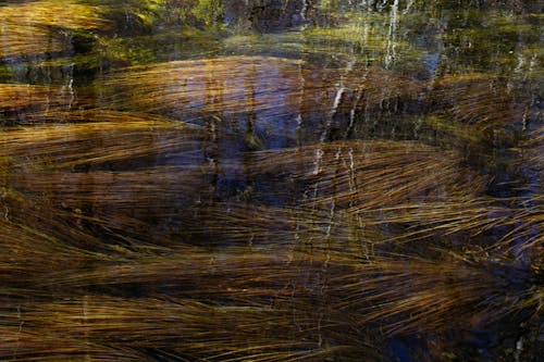 Δωρεάν στοκ φωτογραφιών με aqua, background, copy space