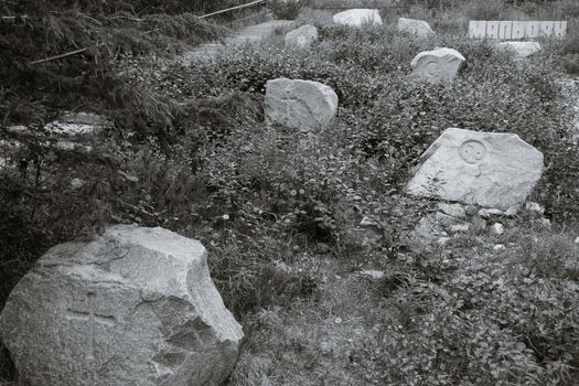 Gravestones amidst grass and plants