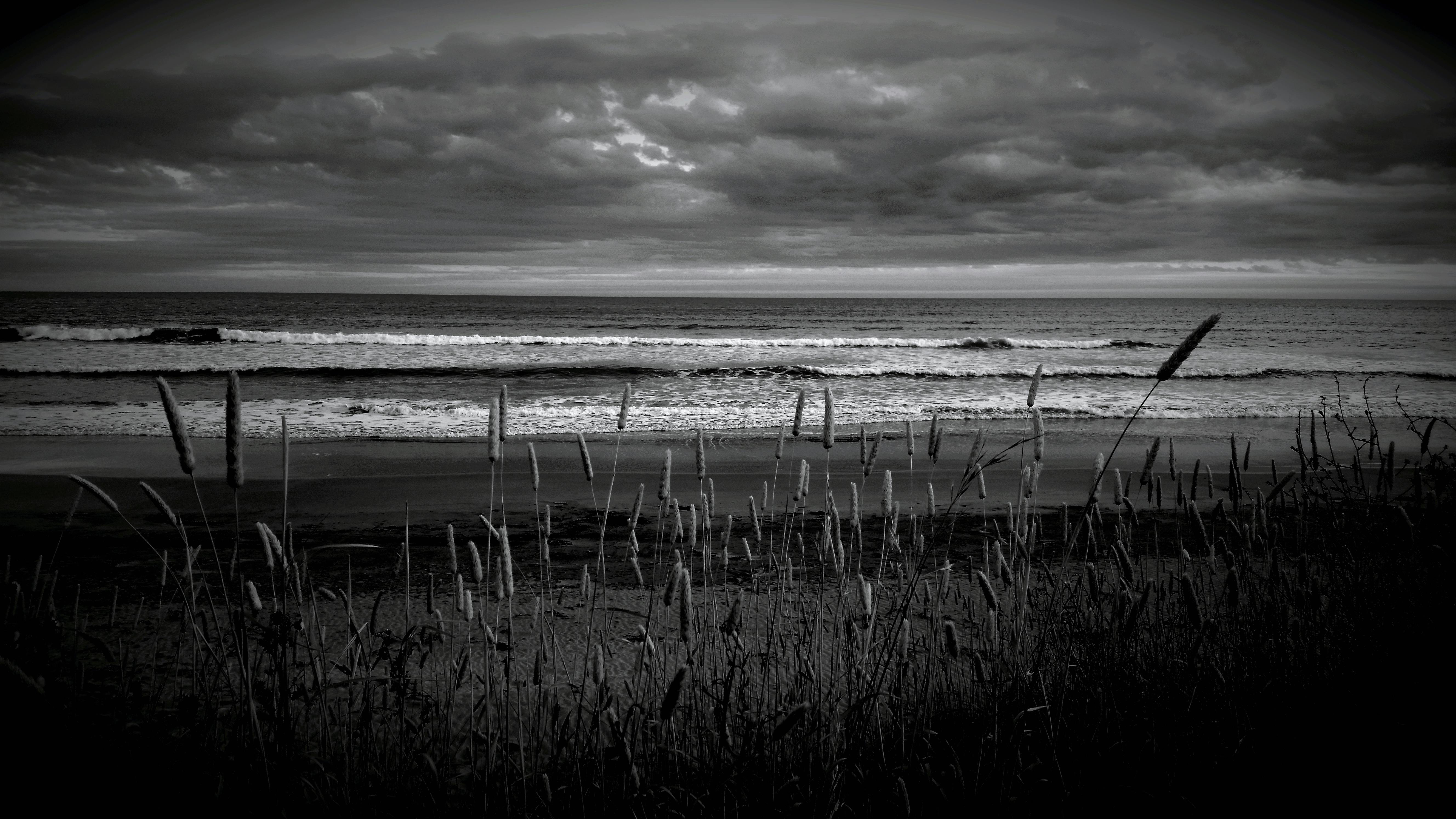 Free stock photo of beach, black, black and white