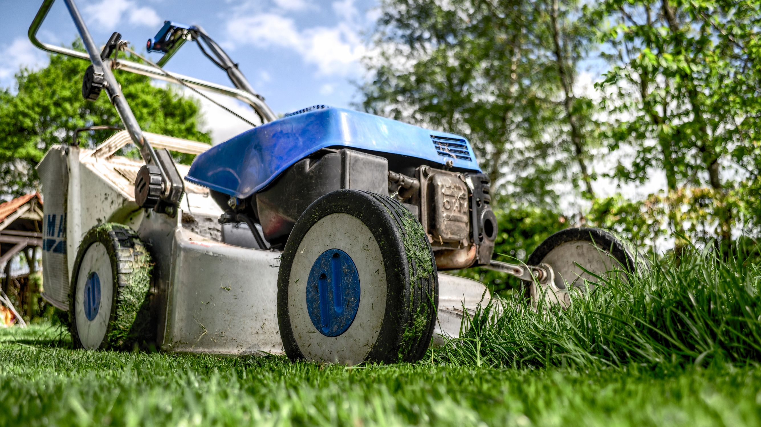 Beautiful manicured lawn