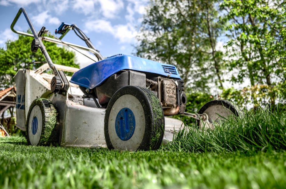 garden, gardening, grass