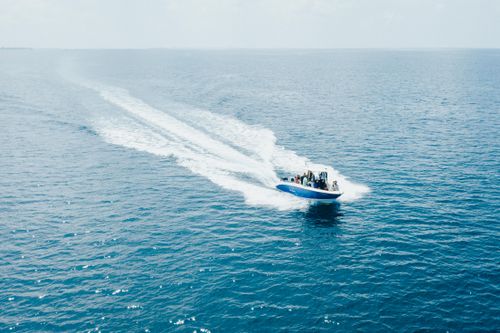 Free Unrecognizable people in modern motorboat floating fast on rippling azure seawater beneath blue sky in daylight Stock Photo