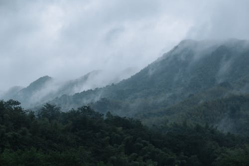 Foto d'estoc gratuïta de a l'aire lliure, alpí, altitud