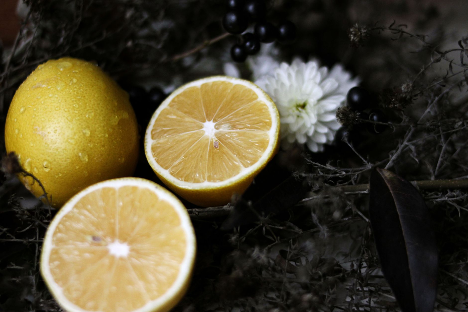 Adaçaylı Limonata