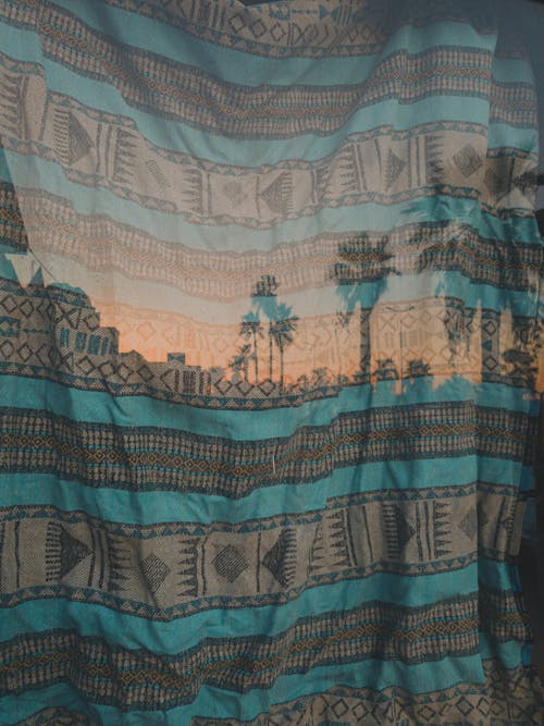 Palm Trees Along Street Seen Through Fabric