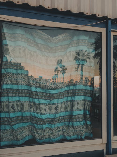 Reflection of Palm Trees in Window