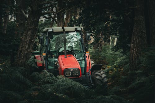 Tractor Rojo Junto A Los árboles
