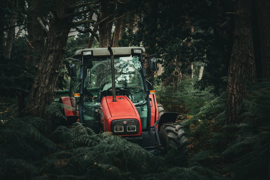 cash for cars near Davenport Cash For Cars Davenport