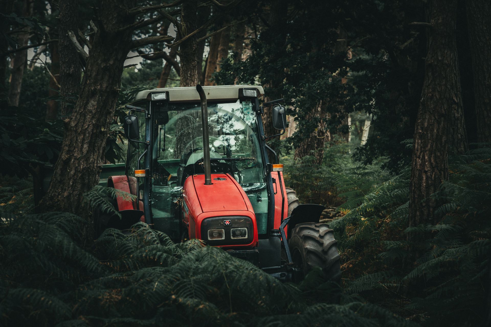 A red tractor navigates through dense forest foliage, embodying rugged outdoor exploration.