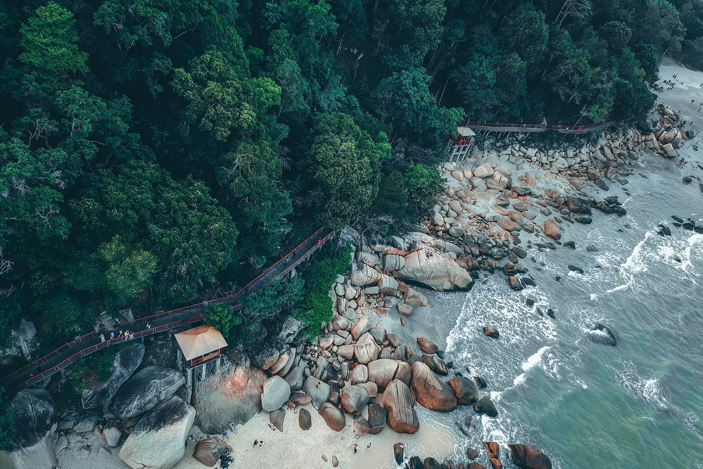 Suruchi Tree Lush trees near ocean and coast with stones · Free Stock Photo