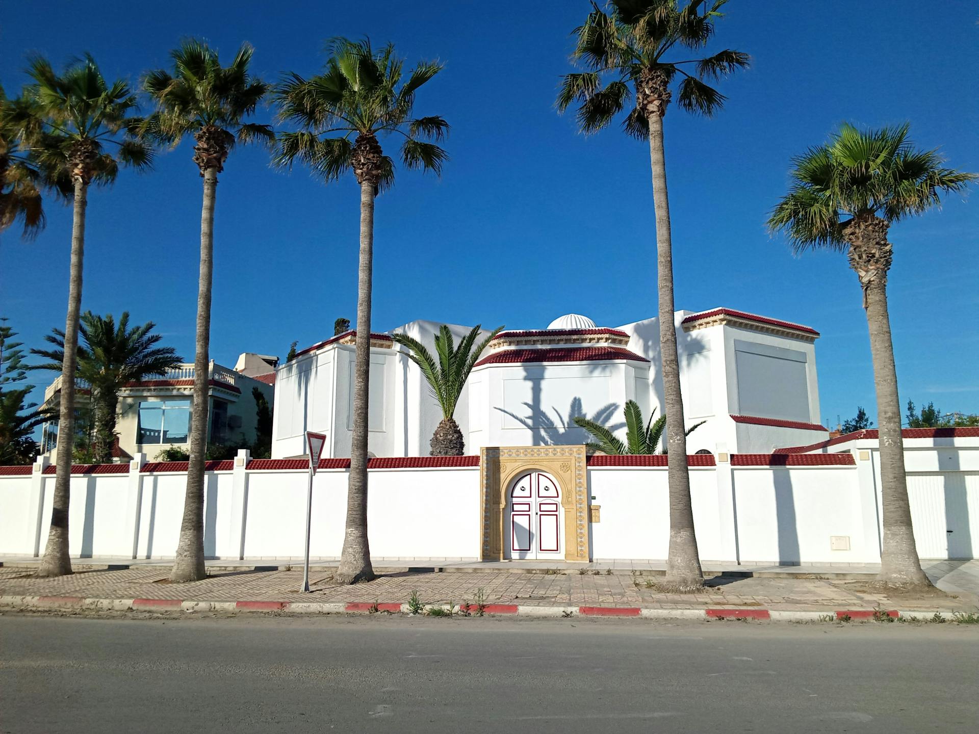 A scenic view of Tunisian architecture with palm trees in Monastir, showcasing a Mediterranean style.