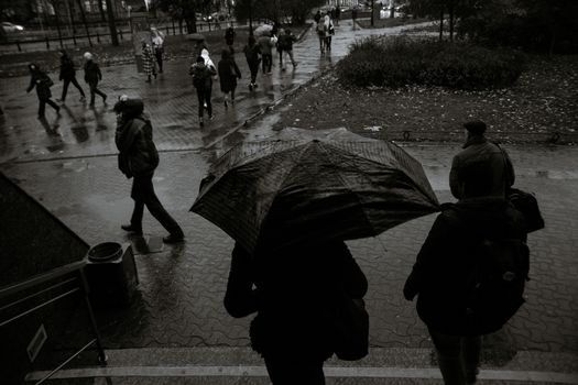 雨中的单色城市，人们打着伞行走