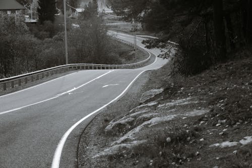 Black and white curvy asphalt roadway with markings going through tress growing on roadside in small settlement