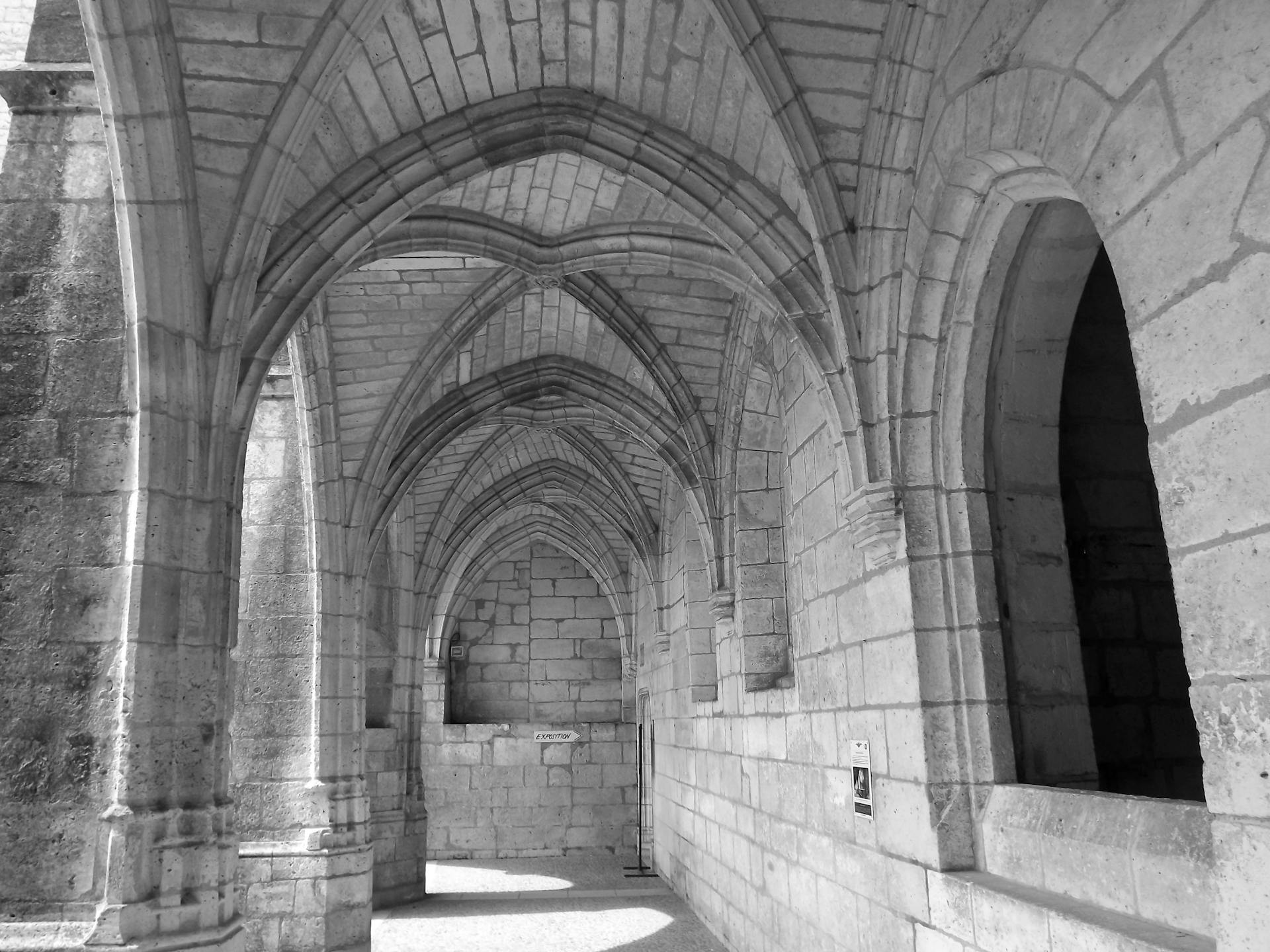 Intricate Gothic vaulted stone corridor under archways, monochromatic tones, evocative of historical architecture.