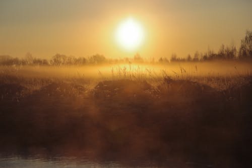 Free Rising morning sun shining over dry grass and rippling pond in mist in countryside Stock Photo