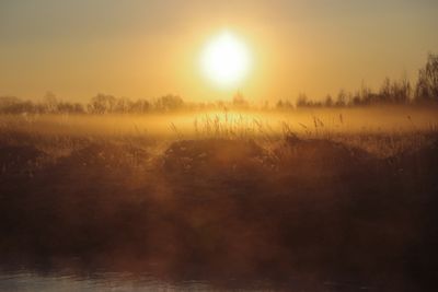 Morning sun over a misty countryside pond — photo by Plato Terentev on Pexels