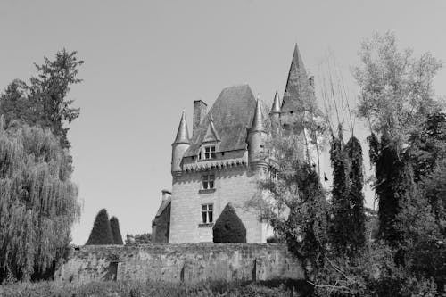 免费 古老的, 城堡, 宫殿 的 免费素材图片 素材图片