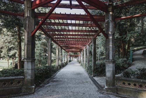 Gray Concrete Pathway