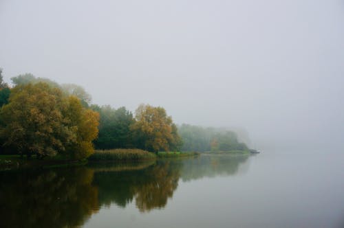 Безкоштовне стокове фото на тему «вода, зелені дерева, імла»