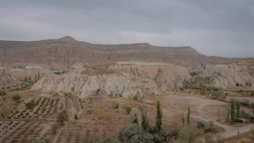 Бесплатное стоковое фото с кустарники, пейзаж, пустыня