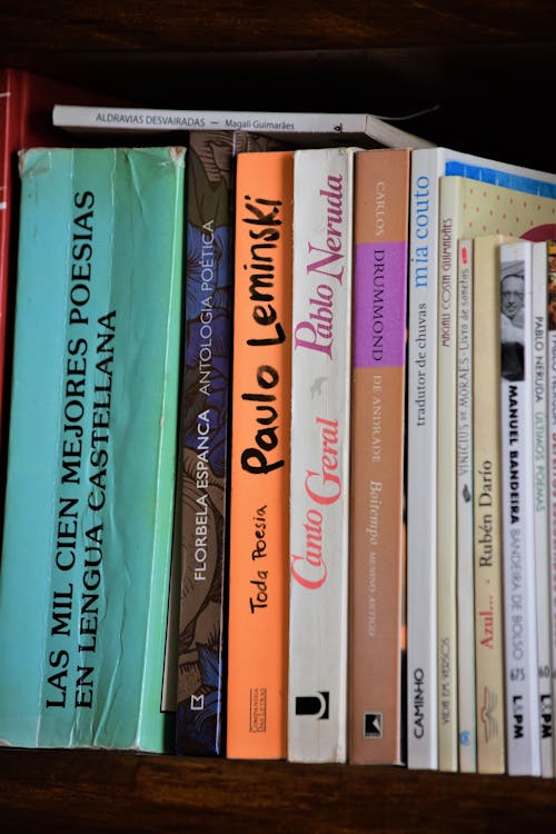 Free stock photo of book, book shelf, books