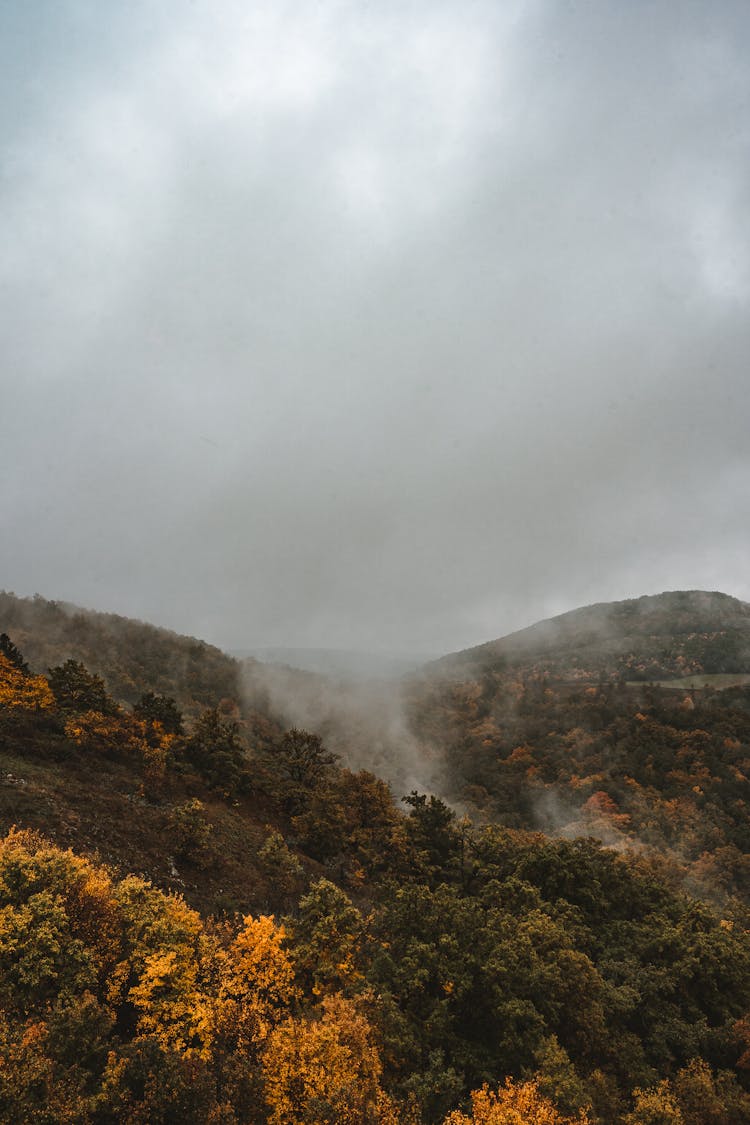 A Photo Of A Foggy Mountain