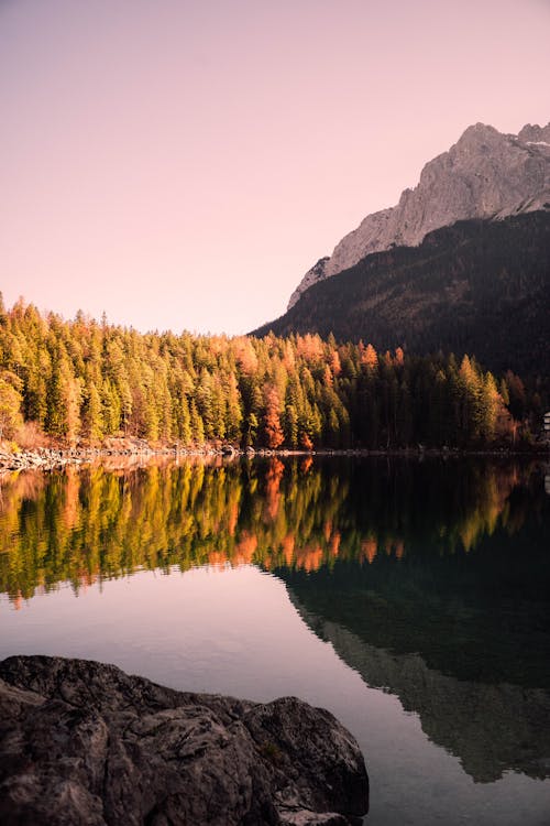 Immagine gratuita di foresta, lago, montagna