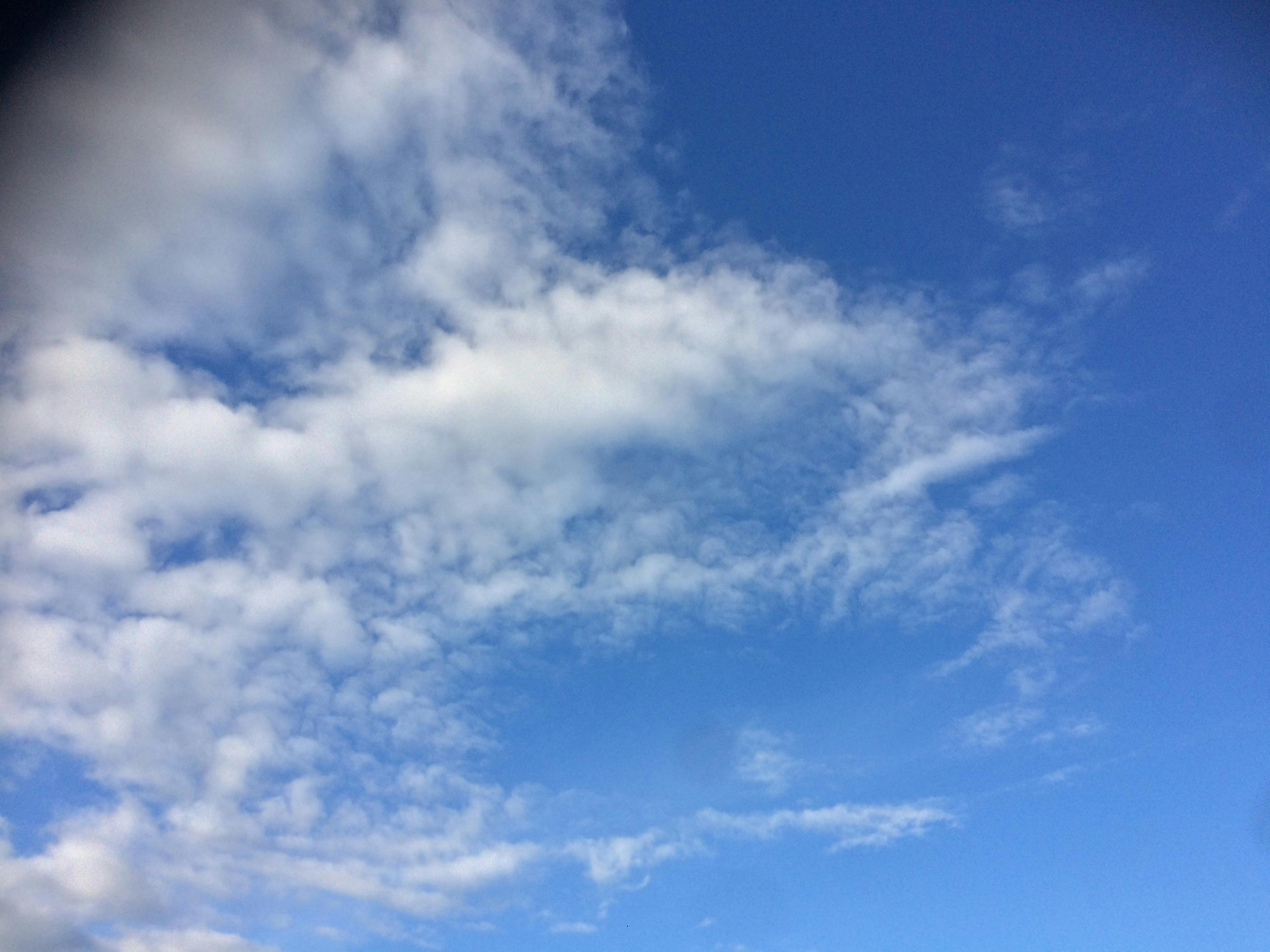 Free stock photo of blue skies, cloudy sky