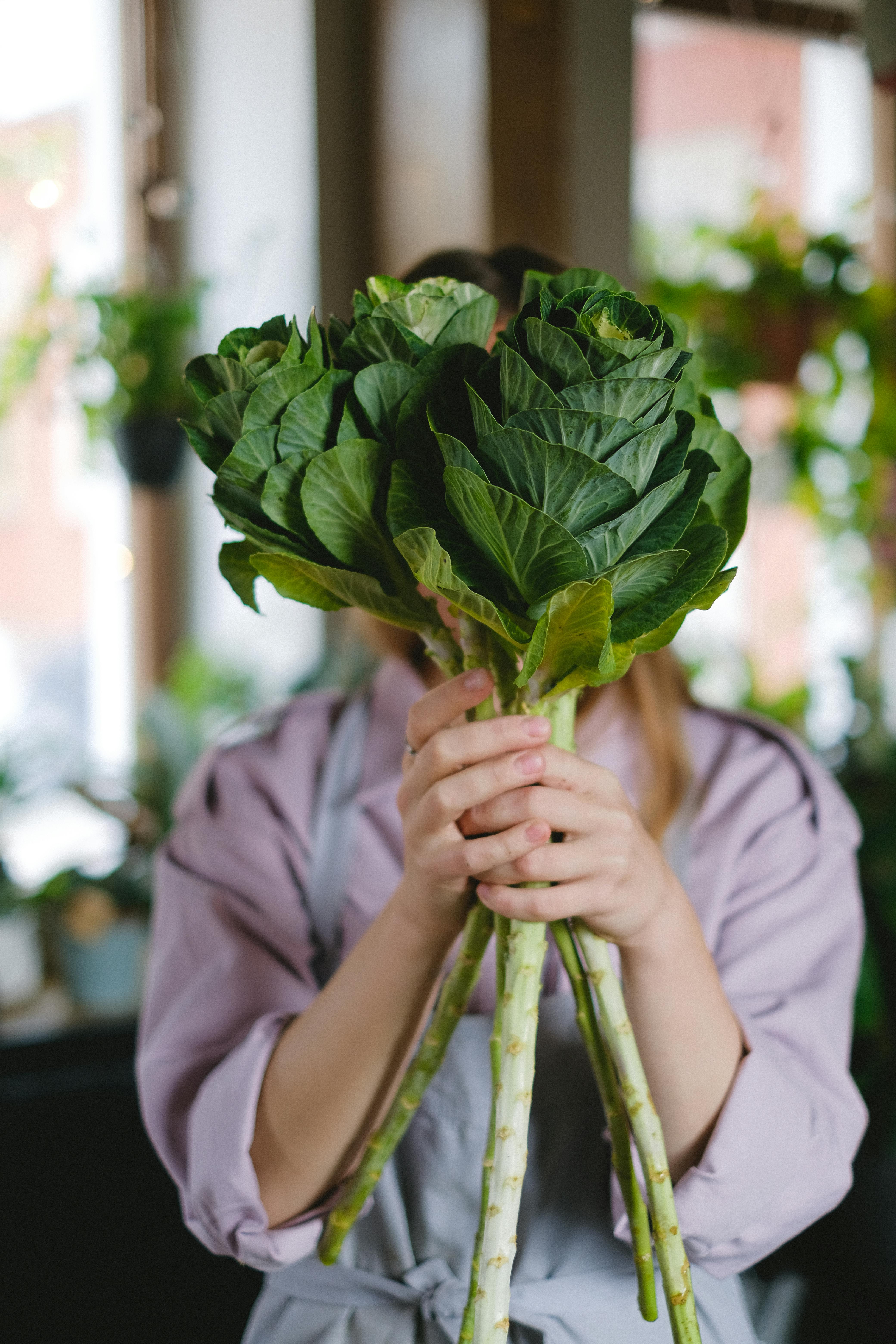 A woman holding a bouquet of green leaves indoors, perfect for florist or gardening themes.