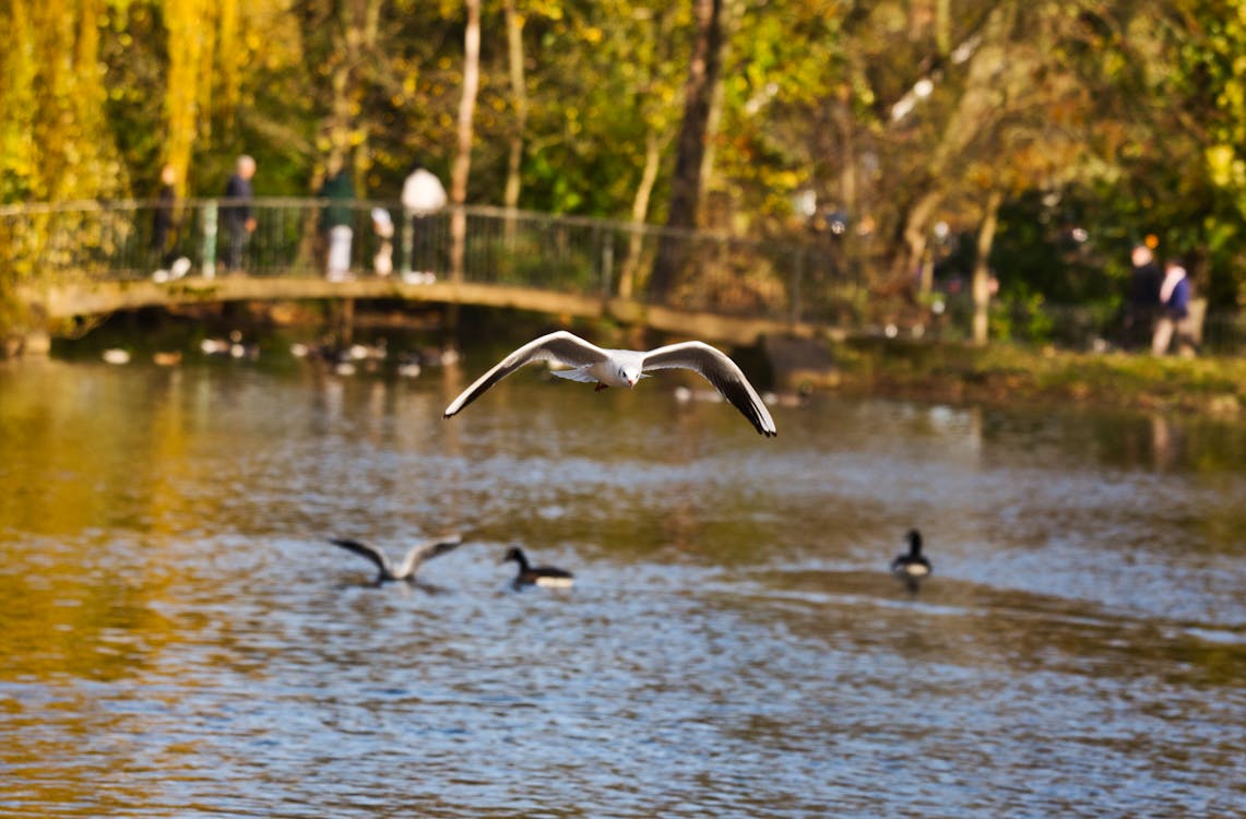 Pokémon's Shocking Budget Leak: Legends Z-A Cost Just $13 Million to Make 1 Stacks of money representing a development budget, with video game controllers in the background.