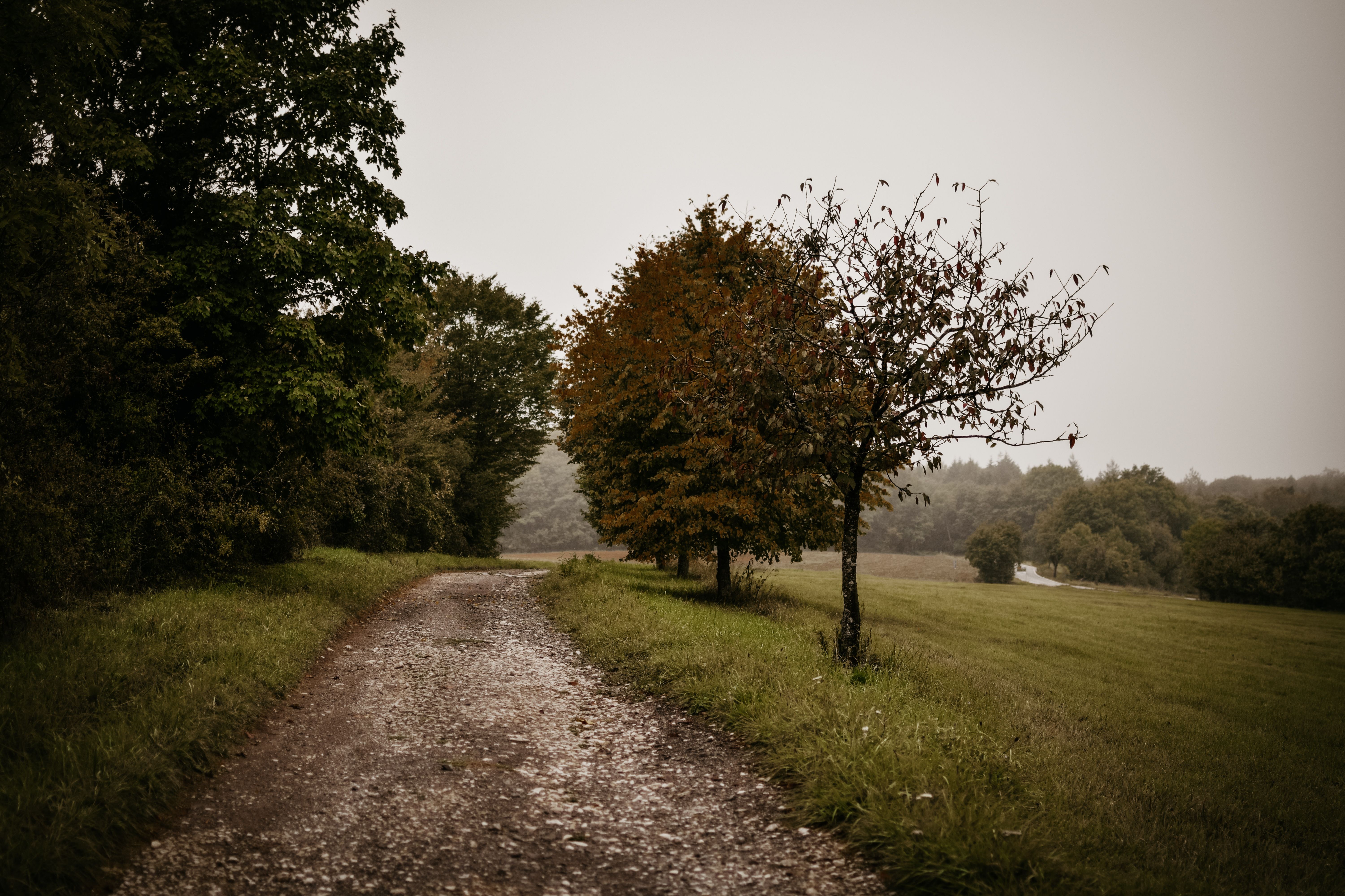 3 Day Inner Child Healing & Yin Yoga Retreat in Germany 2