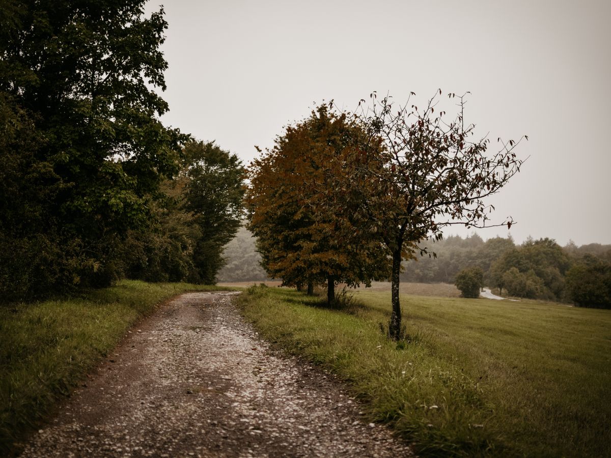3 Day Inner Child Healing & Yin Yoga Retreat in Germany 2
