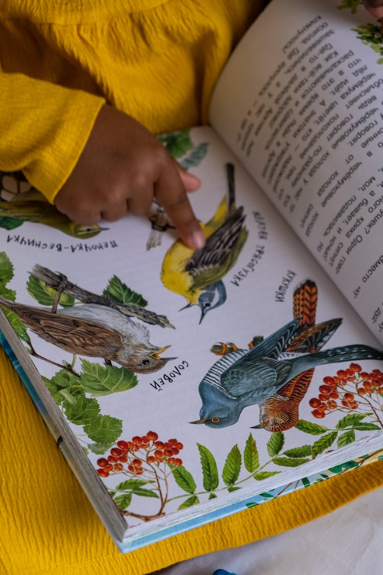 Person Holding Book With Birds Print