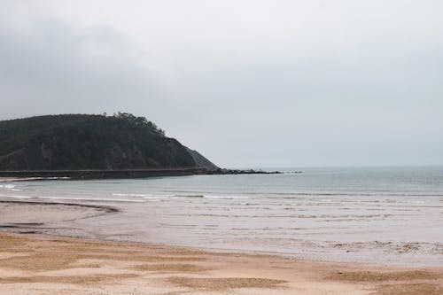 Magnificent scenery of rocky hill covered with trees located near wavy ocean with sandy beach during low tide against overcast sky