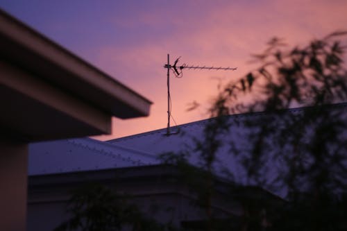 Foto profissional grátis de lilás, pôr do sol, romântico