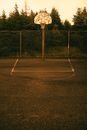 Sports ground with marking lines and basketball hoop against fence and coniferous trees in evening