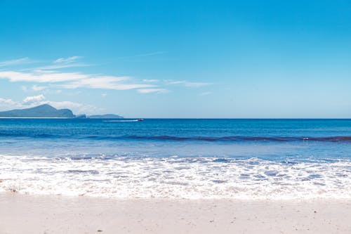 Seashore Under Blue Sky