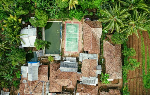 Residential houses with pool and sports ground located in jungle