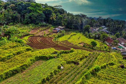Free Amazing scenery of well groomed rice paddy field terraces and residential houses located on hill slope with lush tropical vegetation against cloudy blue sky in sunlight Stock Photo