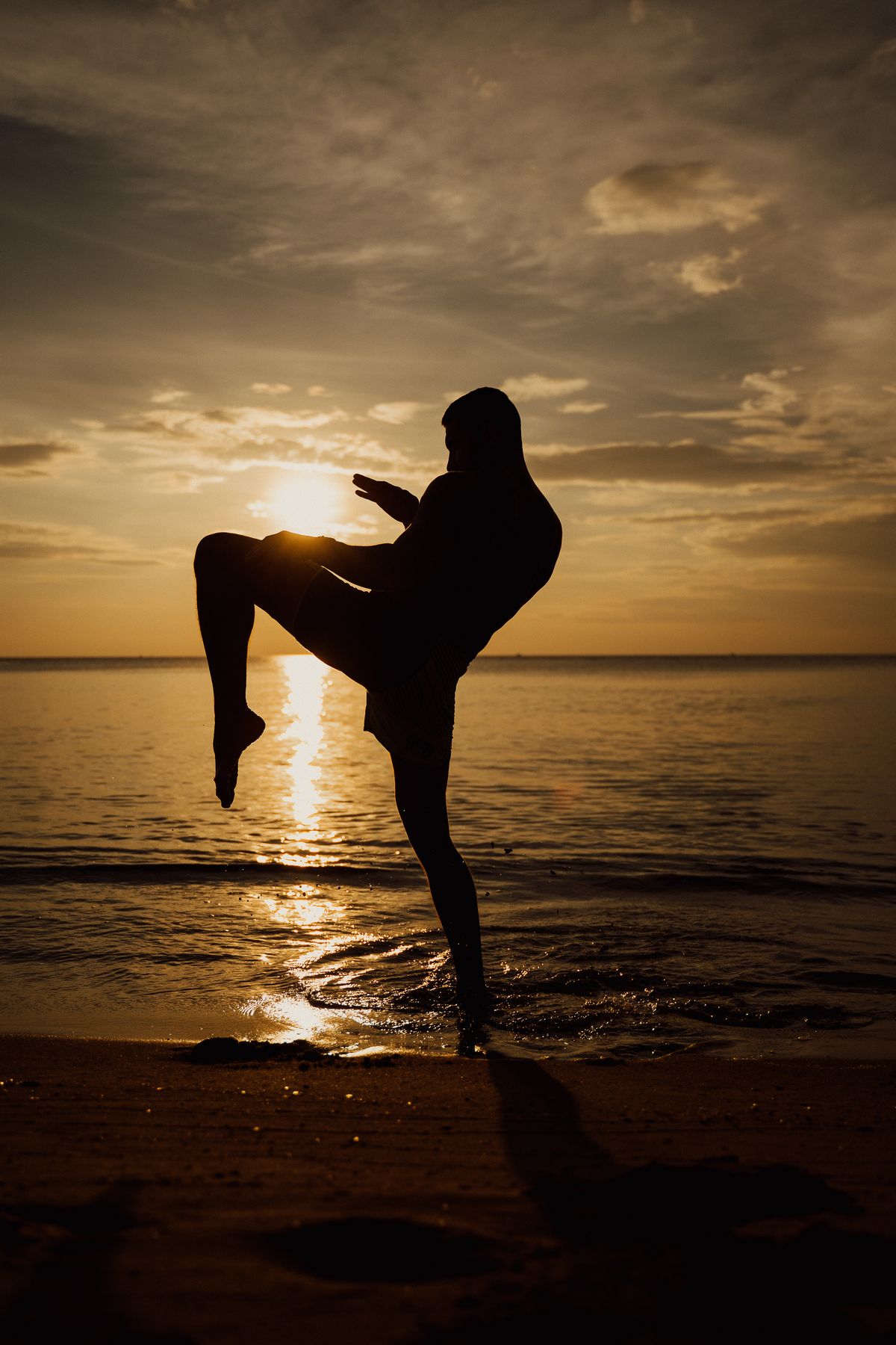 Silhouette of a martial artist practising at sunset