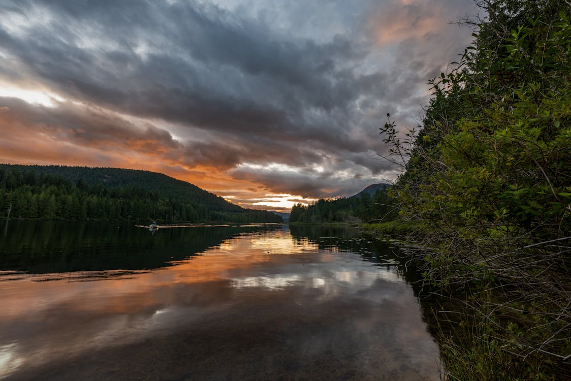 Бесплатное стоковое фото с powell river, британская колумбия, вода