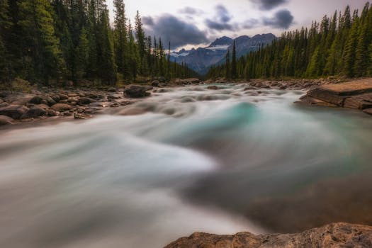 Serene long exposure capture of river rapids flowing through Jasper National Park's lush conifer forest.