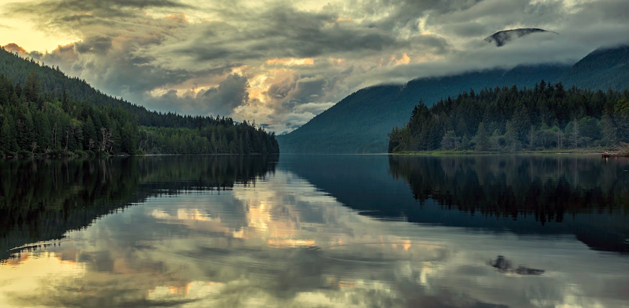 Green Trees Near Lake Under Cloudy Sky